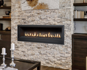Image of a Fireplace Xtordinair ProBuilder 54 Gas Fireplace with a link to the product page.