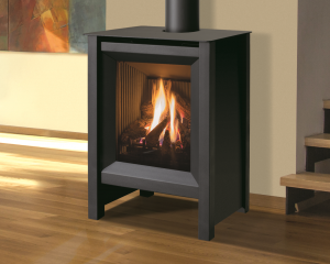 Image of a S20 Gas Stove by Enviro that links you to the product page